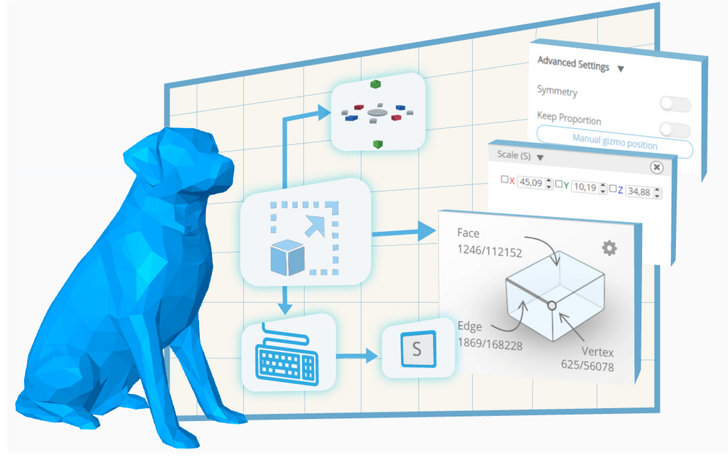 Infographic showing all features available for the Scale tool